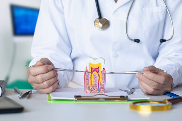 Best Pediatric Emergency Dentist in Garrett, IN